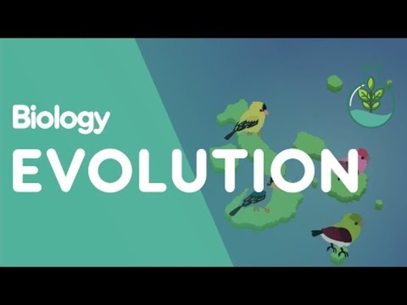 Evolution by Natural Selection Instructional Video