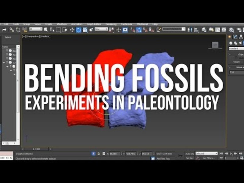 Bending Fossils: Experiments In Paleontology (Harvard Adventures, Part 3) Instructional Video