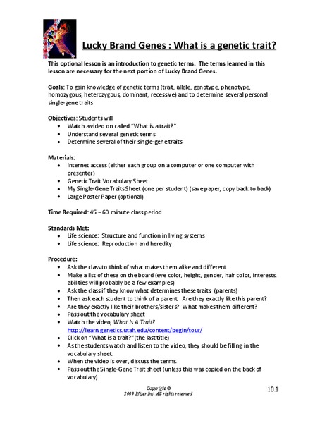 Lucky Brand Genes: Genetic Traits Lesson Plan
