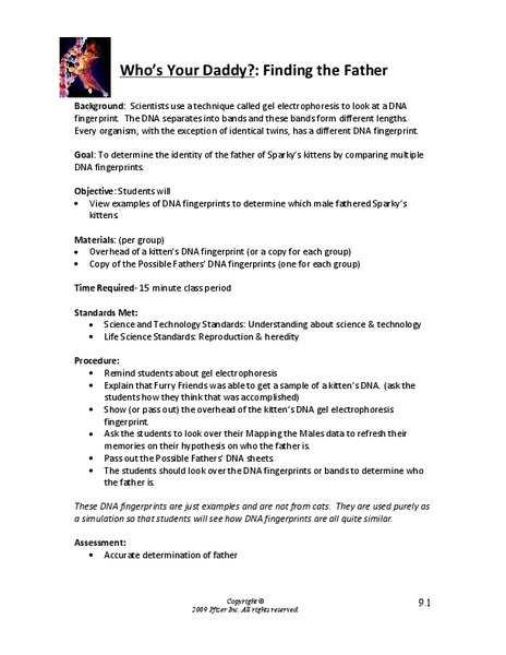 Who’s Your Daddy? Finding the Father Lesson Plan