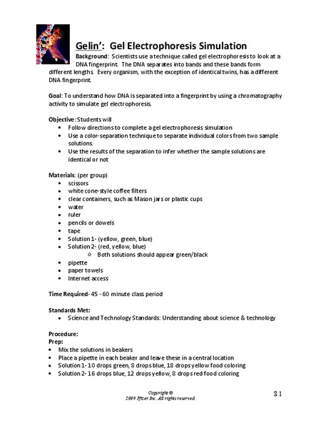 Gelin’: Gel Electrophoresis Simulation Lesson Plan