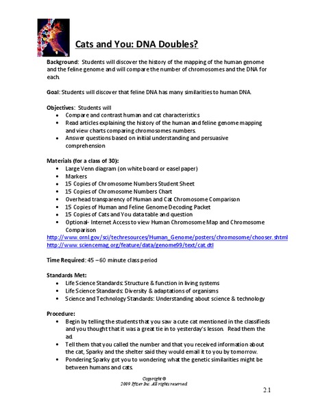 Cats and You: DNA Doubles? Lesson Plan