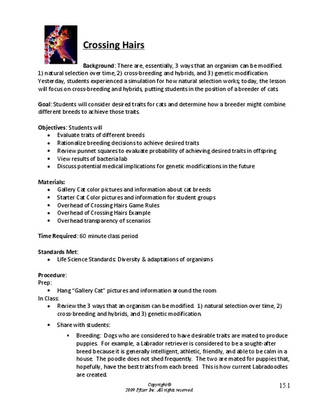 Crossing Hairs Lesson Plan