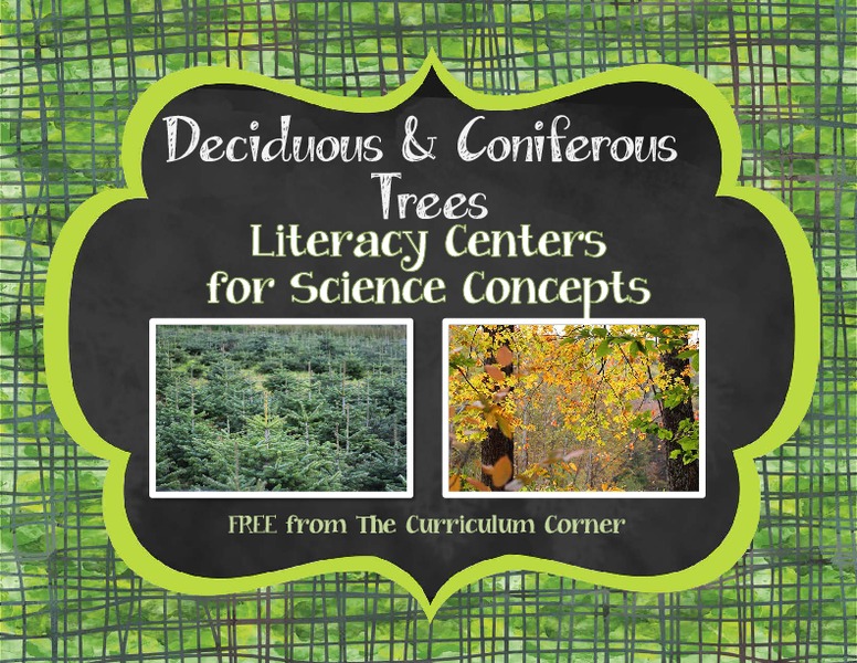 Coniferous and Deciduous Trees Organizer