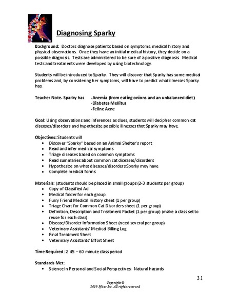 Diagnosing Sparky Lesson Plan