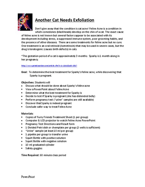 ACNE (Another Cat Needs Exfoliation) Lesson Plan