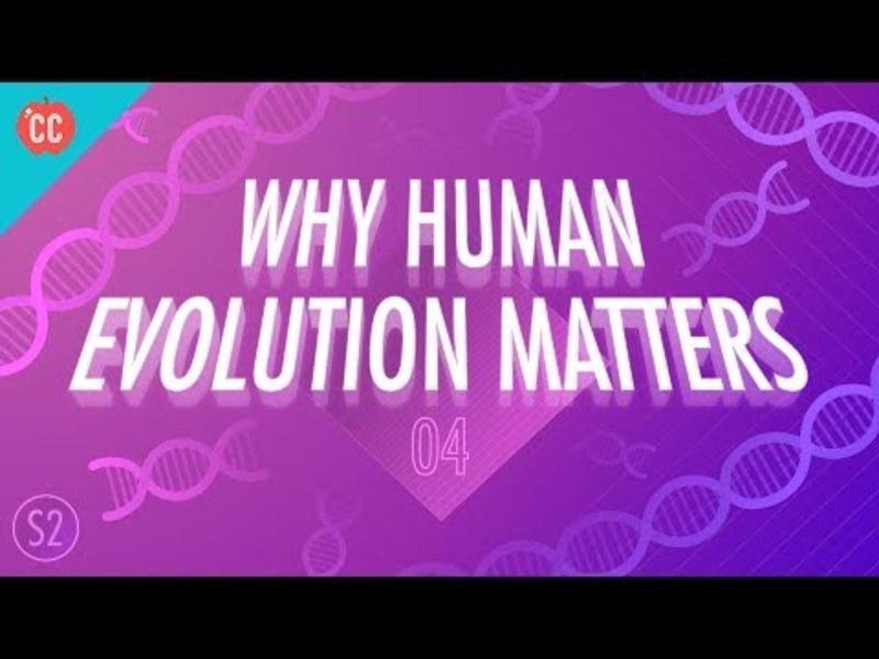 Why Human Evolution Matters: Crash Course Big History #204 Instructional Video