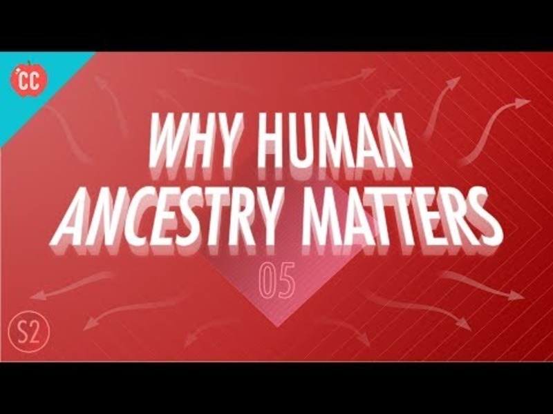 Why Human Ancestry Matters: Crash Course Big History #205 Instructional Video