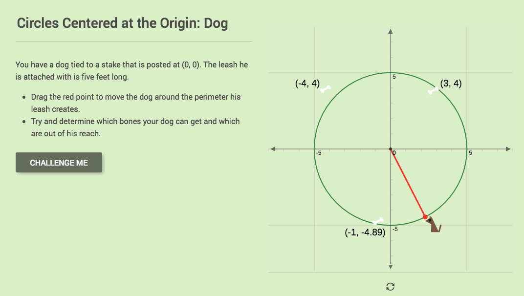 Circles Centered at the Origin: Dog Interactive