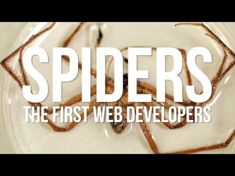 Spiders: The First Web Developers Instructional Video
