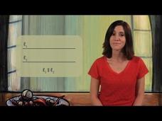 Parallel Lines and Transversals Instructional Video