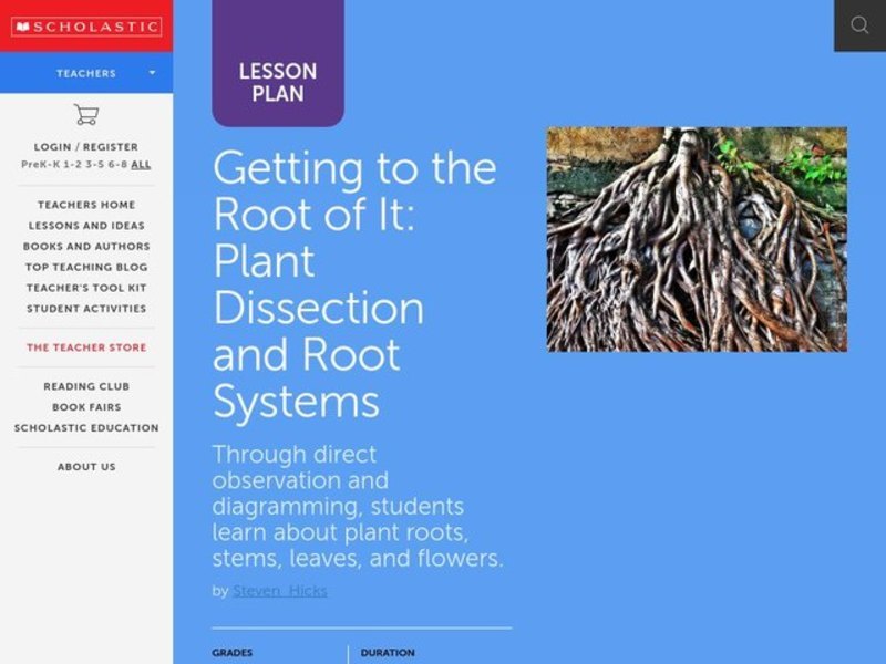 Get to The Root of It! Lesson Plan
