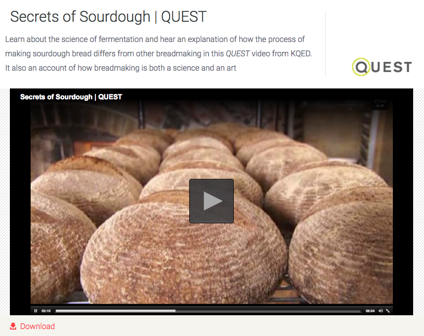 Secrets of Sourdough Instructional Video