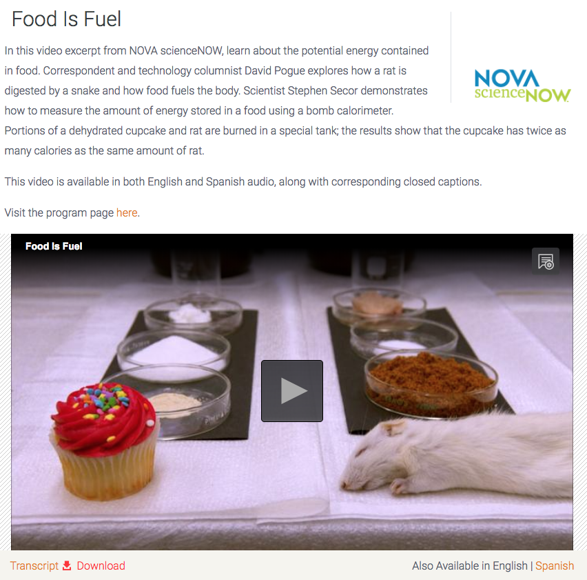 Food Is Fuel Instructional Video
