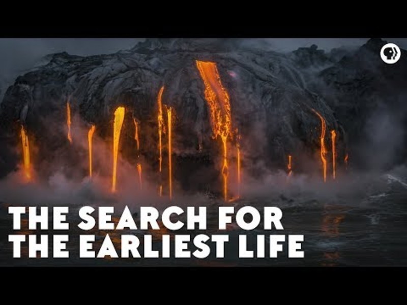 The Search for the Earliest Life Instructional Video
