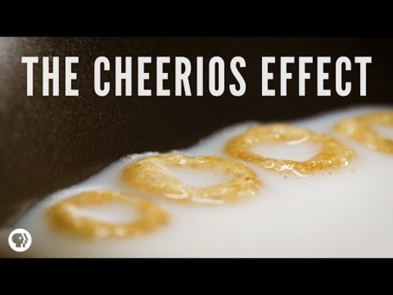 The Cheerios Effect Instructional Video