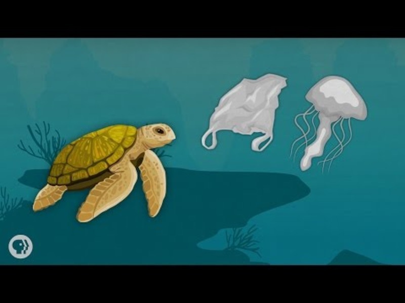 How Much Plastic is in the Ocean? Instructional Video