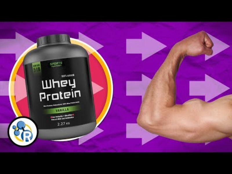How Does Protein Build Muscle? Instructional Video