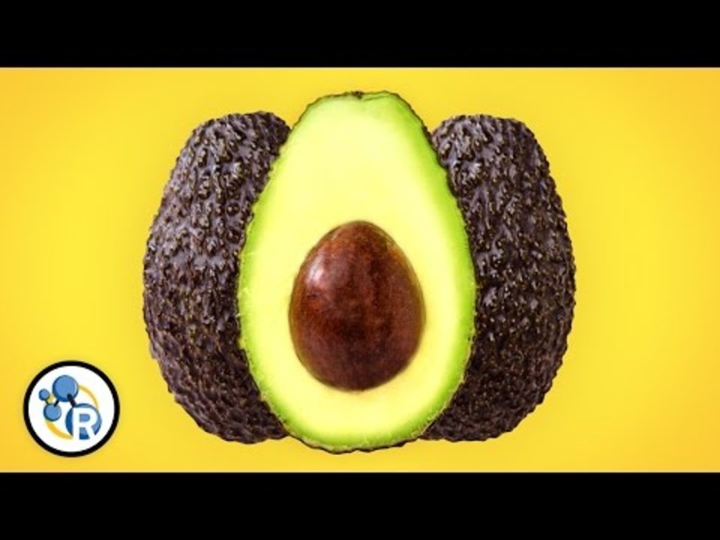 Why Are Avocados So Awesome? Instructional Video