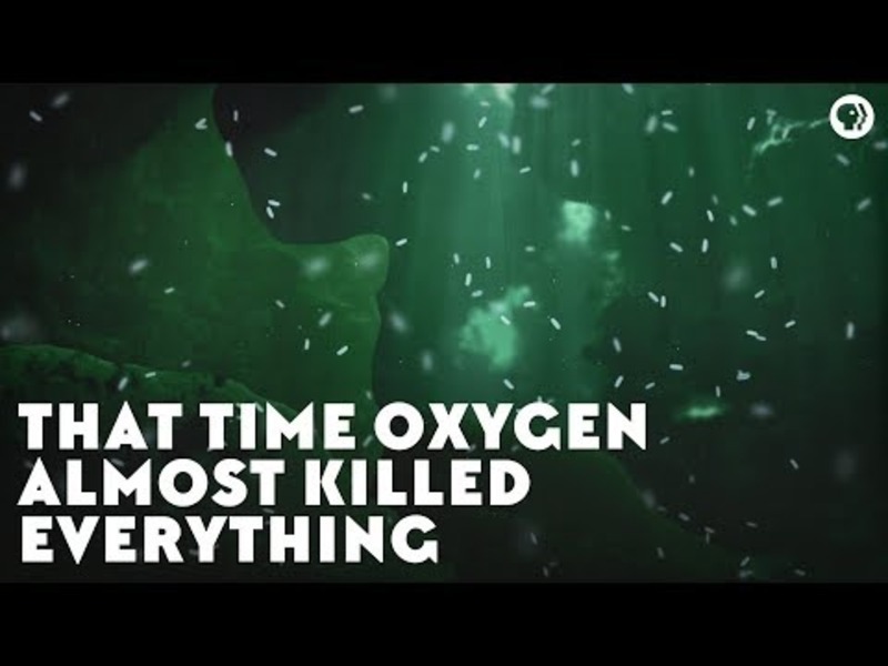 That Time Oxygen Almost Killed Everything Instructional Video