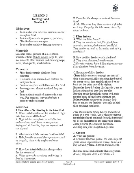 Getting Food Lesson Plan