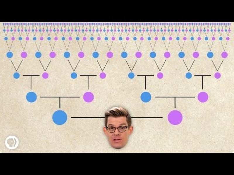 Are We All Related? Instructional Video