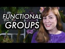 What Are Functional Groups? Instructional Video