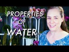 Properties of Water: Hydrogen Bonding in Water Instructional Video
