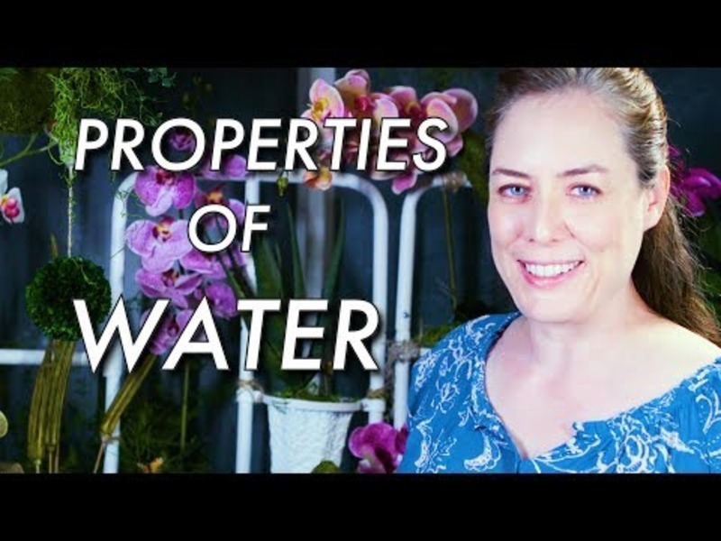 Properties of Water: Hydrogen Bonding in Water Instructional Video