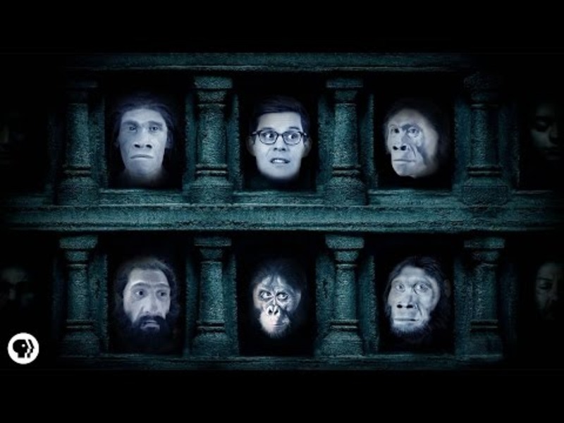 Where Did Humans Come From? Instructional Video