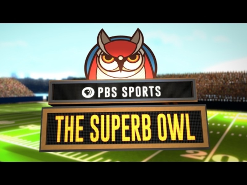 The Superb Owl! Instructional Video