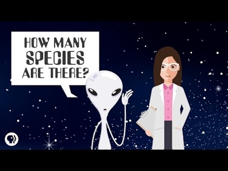 How Many Species Are There? Instructional Video