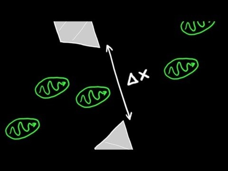 Heisenberg's Uncertainty Principle Explained Instructional Video