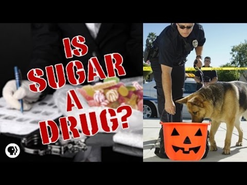 Is Sugar a Drug? Instructional Video