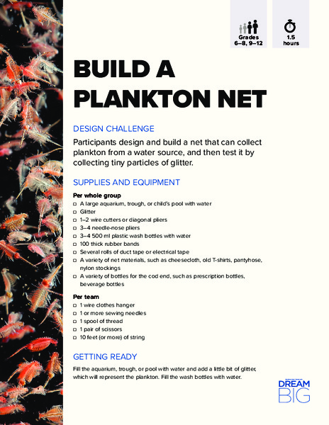 Build a Plankton Net Activity