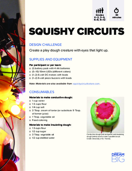 Squishy Circuits Activity