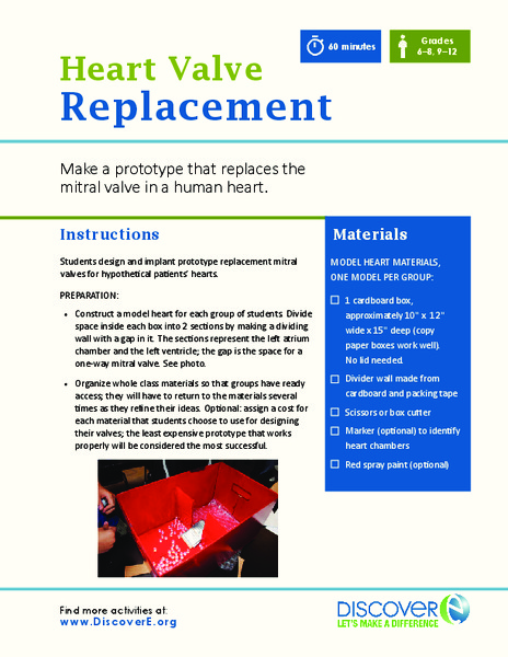Heart Valve Replacement Activity