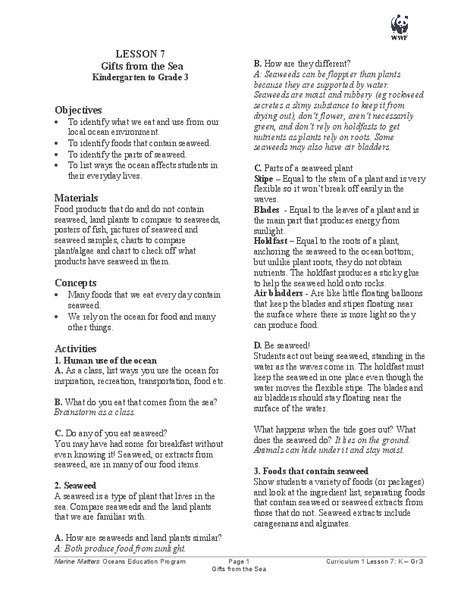 Gifts from the Sea Lesson Plan
