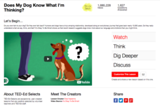 Does My Dog Know What I'm Thinking? Instructional Video