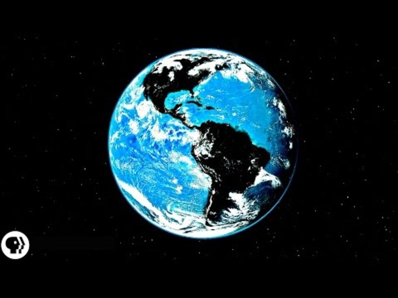 Why Aren't Plants Black? Instructional Video