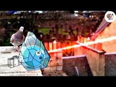 How Does Laser Cooling Work? Instructional Video