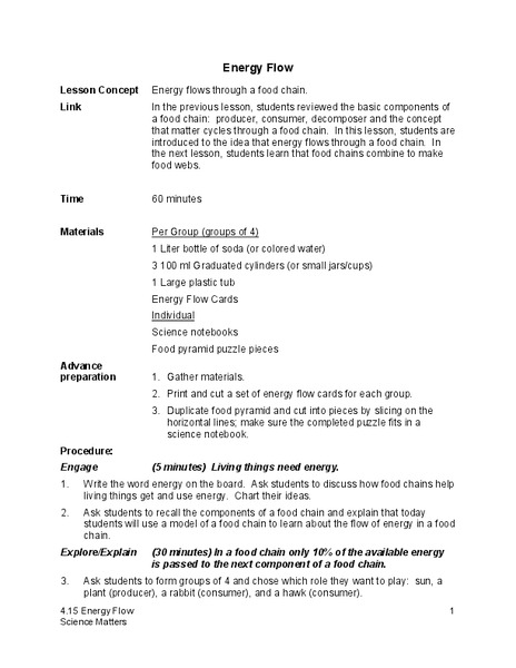 Energy Flow Lesson Plan
