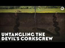 Untangling the Devil's Corkscrew Instructional Video
