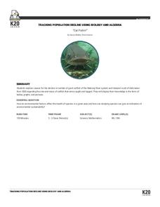 Cat Fishin' Lesson Plan