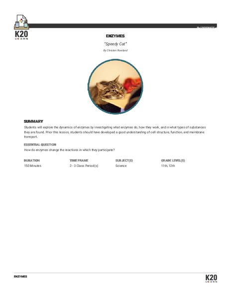 Speedy Cat: Enzymes Lesson Plan