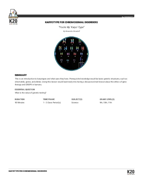 You're My 'Karyo'-Type: Karyotype For Chromosomal Disorders Lesson Plan