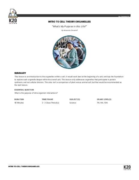 What's My Purpose In This Life? Intro To Cell Theory/Organelles Lesson Plan