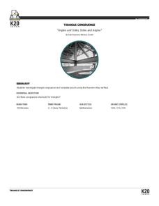 Angles and Sides, Sides and Angles Lesson Plan