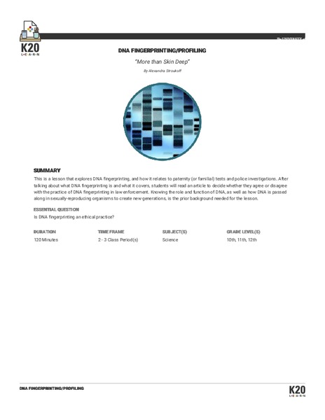 More than Skin Deep Lesson Plan