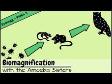 Biomagnification and the Trouble with Toxins Instructional Video